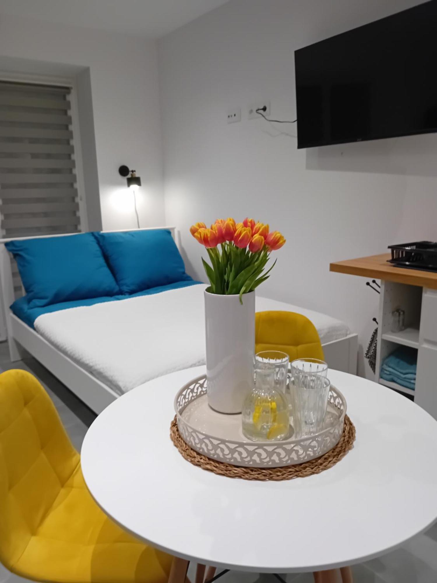 Oświęcim Viva Apartments מראה חיצוני תמונה
